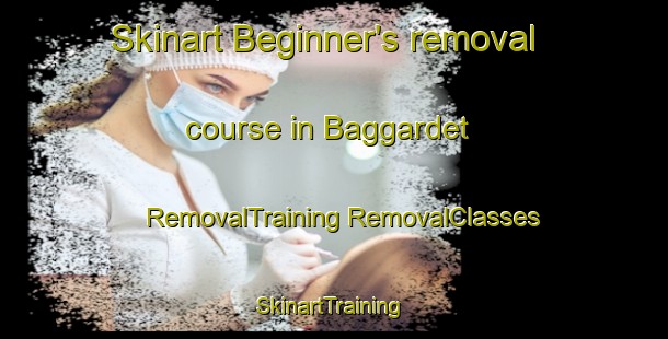 Skinart Beginner's removal course in Baggardet | #RemovalTraining #RemovalClasses #SkinartTraining-Sweden