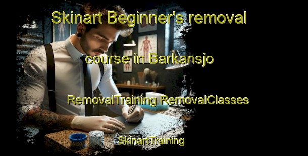 Skinart Beginner's removal course in Barkansjo | #RemovalTraining #RemovalClasses #SkinartTraining-Sweden