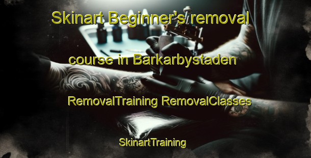 Skinart Beginner's removal course in Barkarbystaden | #RemovalTraining #RemovalClasses #SkinartTraining-Sweden