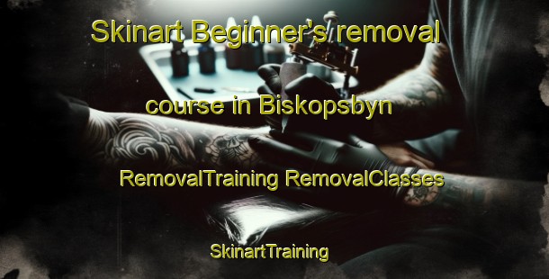 Skinart Beginner's removal course in Biskopsbyn | #RemovalTraining #RemovalClasses #SkinartTraining-Sweden