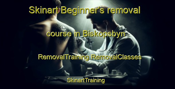 Skinart Beginner's removal course in Biskopsbyn | #RemovalTraining #RemovalClasses #SkinartTraining-Sweden