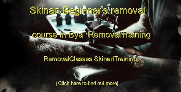 Skinart Beginner's removal course in Bya | #RemovalTraining #RemovalClasses #SkinartTraining-Sweden