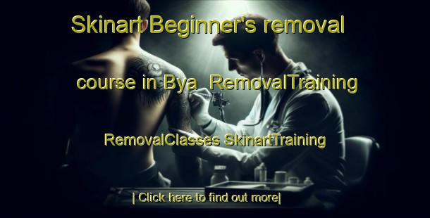 Skinart Beginner's removal course in Bya | #RemovalTraining #RemovalClasses #SkinartTraining-Sweden