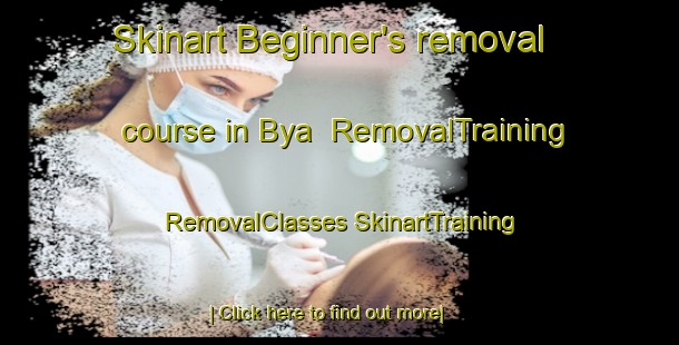 Skinart Beginner's removal course in Bya | #RemovalTraining #RemovalClasses #SkinartTraining-Sweden