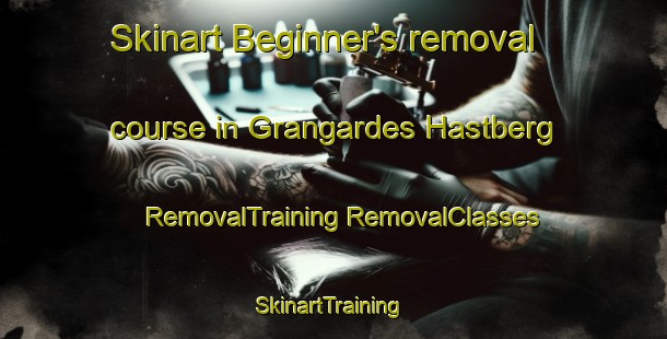 Skinart Beginner's removal course in Grangardes Hastberg | #RemovalTraining #RemovalClasses #SkinartTraining-Sweden