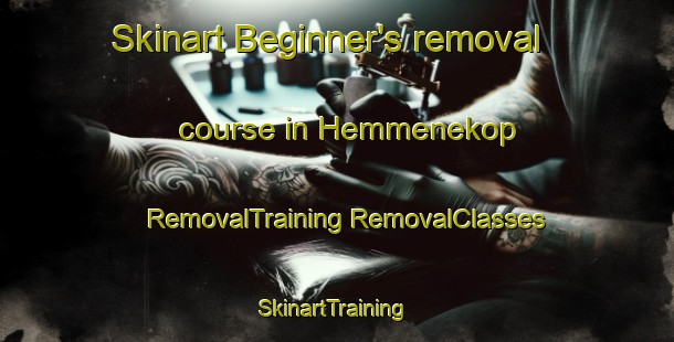 Skinart Beginner's removal course in Hemmenekop | #RemovalTraining #RemovalClasses #SkinartTraining-Sweden