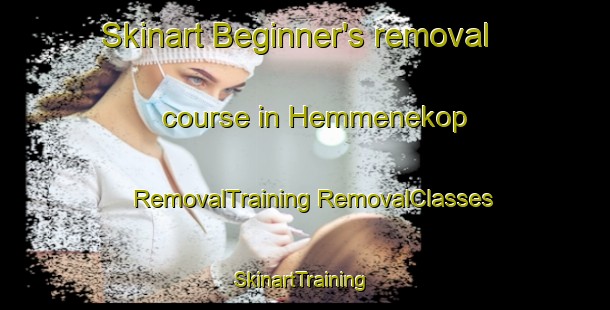 Skinart Beginner's removal course in Hemmenekop | #RemovalTraining #RemovalClasses #SkinartTraining-Sweden