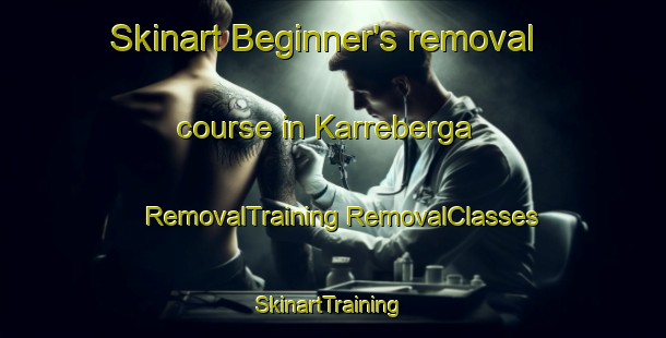 Skinart Beginner's removal course in Karreberga | #RemovalTraining #RemovalClasses #SkinartTraining-Sweden