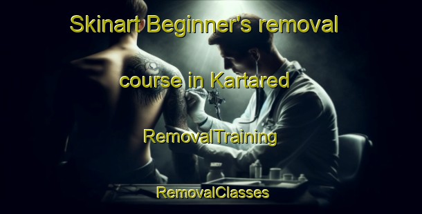 Skinart Beginner's removal course in Kartared | RemovalTraining | RemovalClasses | SkinartTraining-Sweden