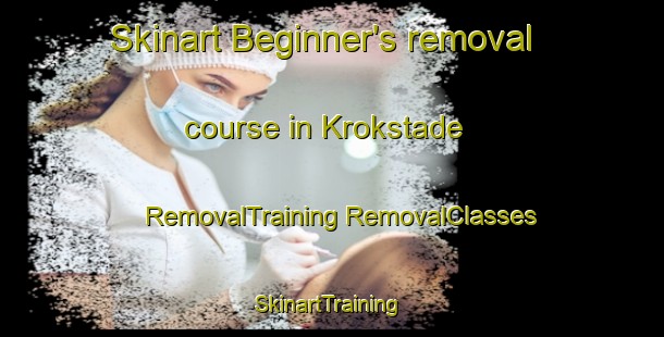 Skinart Beginner's removal course in Krokstade | #RemovalTraining #RemovalClasses #SkinartTraining-Sweden