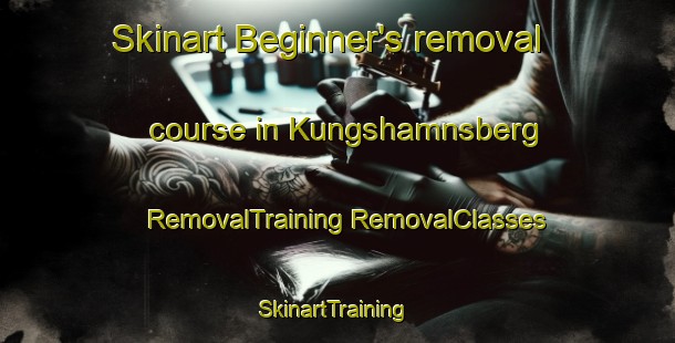 Skinart Beginner's removal course in Kungshamnsberg | #RemovalTraining #RemovalClasses #SkinartTraining-Sweden