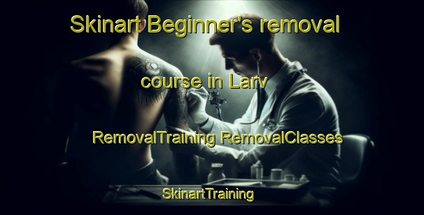 Skinart Beginner's removal course in Larv | #RemovalTraining #RemovalClasses #SkinartTraining-Sweden