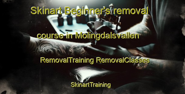 Skinart Beginner's removal course in Molingdalsvallen | #RemovalTraining #RemovalClasses #SkinartTraining-Sweden