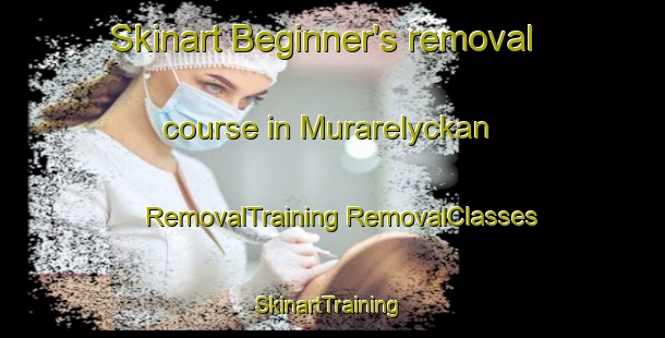 Skinart Beginner's removal course in Murarelyckan | #RemovalTraining #RemovalClasses #SkinartTraining-Sweden