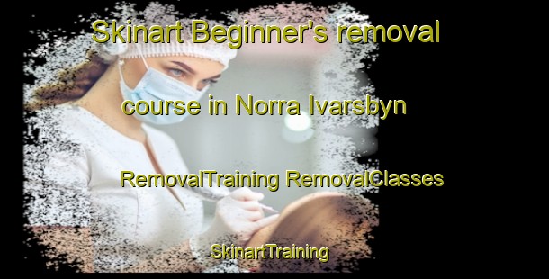 Skinart Beginner's removal course in Norra Ivarsbyn | #RemovalTraining #RemovalClasses #SkinartTraining-Sweden