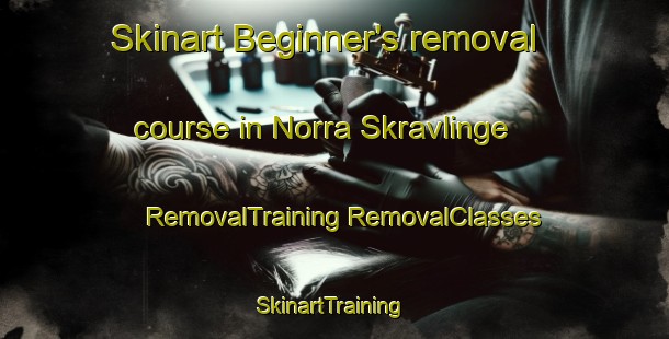 Skinart Beginner's removal course in Norra Skravlinge | #RemovalTraining #RemovalClasses #SkinartTraining-Sweden