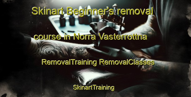 Skinart Beginner's removal course in Norra Vasterrottna | #RemovalTraining #RemovalClasses #SkinartTraining-Sweden