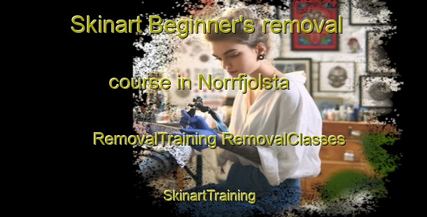 Skinart Beginner's removal course in Norrfjolsta | #RemovalTraining #RemovalClasses #SkinartTraining-Sweden