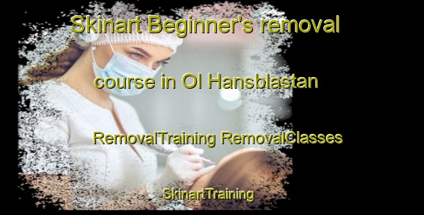 Skinart Beginner's removal course in Ol Hansblastan | #RemovalTraining #RemovalClasses #SkinartTraining-Sweden