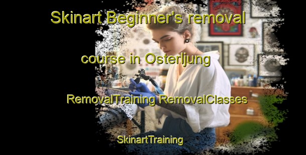 Skinart Beginner's removal course in Osterljung | #RemovalTraining #RemovalClasses #SkinartTraining-Sweden