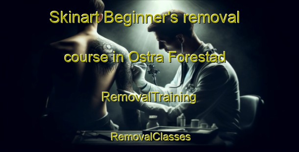 Skinart Beginner's removal course in Ostra Forestad | RemovalTraining | RemovalClasses | SkinartTraining-Sweden