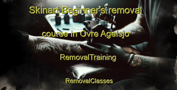 Skinart Beginner's removal course in Ovre Agelsjo | RemovalTraining | RemovalClasses | SkinartTraining-Sweden