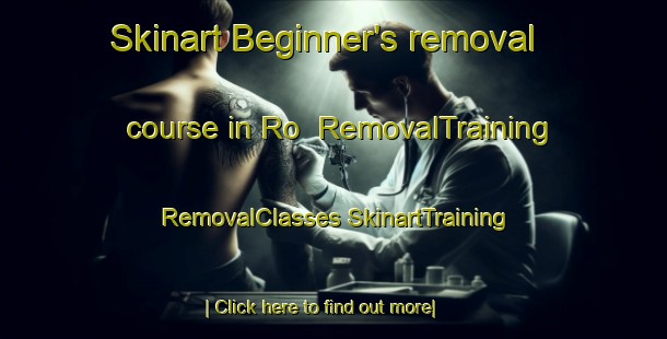 Skinart Beginner's removal course in Ro | #RemovalTraining #RemovalClasses #SkinartTraining-Sweden