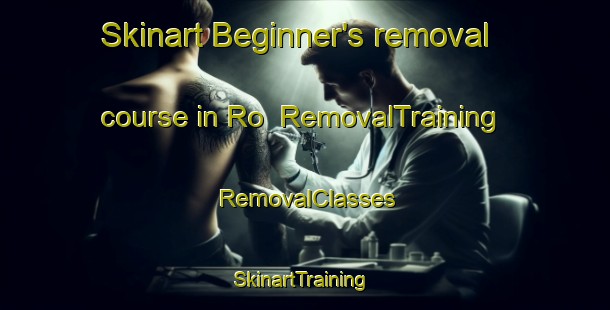 Skinart Beginner's removal course in Ro | RemovalTraining | RemovalClasses | SkinartTraining-Sweden