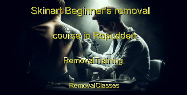 Skinart Beginner's removal course in Ropudden | RemovalTraining | RemovalClasses | SkinartTraining-Sweden