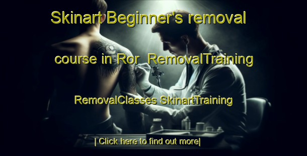 Skinart Beginner's removal course in Ror | #RemovalTraining #RemovalClasses #SkinartTraining-Sweden