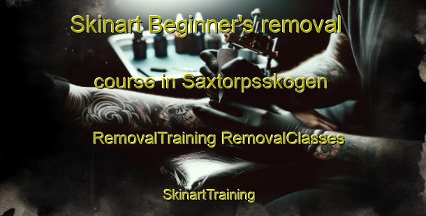 Skinart Beginner's removal course in Saxtorpsskogen | #RemovalTraining #RemovalClasses #SkinartTraining-Sweden