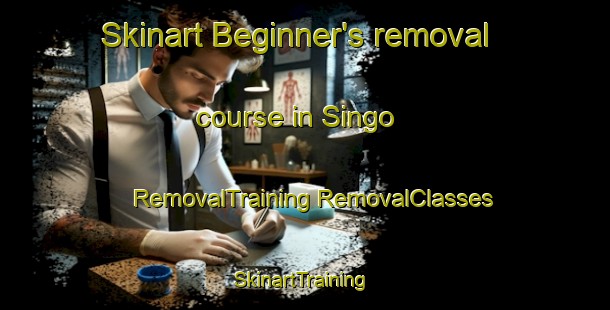 Skinart Beginner's removal course in Singo | #RemovalTraining #RemovalClasses #SkinartTraining-Sweden