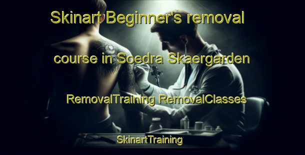 Skinart Beginner's removal course in Soedra Skaergarden | #RemovalTraining #RemovalClasses #SkinartTraining-Sweden