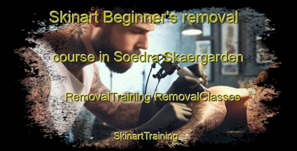 Skinart Beginner's removal course in Soedra Skaergarden | #RemovalTraining #RemovalClasses #SkinartTraining-Sweden