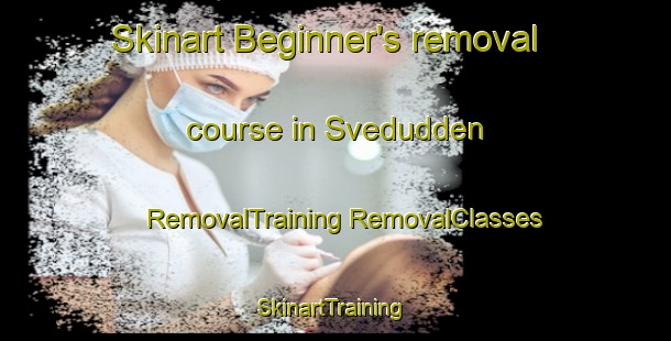 Skinart Beginner's removal course in Svedudden | #RemovalTraining #RemovalClasses #SkinartTraining-Sweden