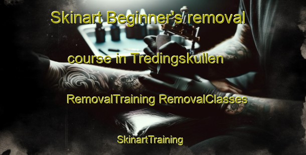 Skinart Beginner's removal course in Tredingskullen | #RemovalTraining #RemovalClasses #SkinartTraining-Sweden