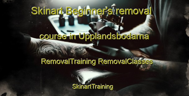 Skinart Beginner's removal course in Upplandsbodarna | #RemovalTraining #RemovalClasses #SkinartTraining-Sweden