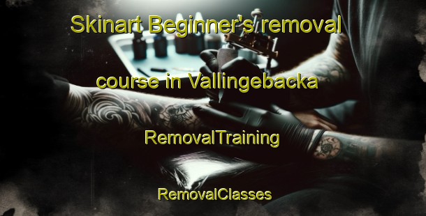 Skinart Beginner's removal course in Vallingebacka | RemovalTraining | RemovalClasses | SkinartTraining-Sweden