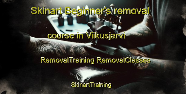 Skinart Beginner's removal course in Viikusjarvi | #RemovalTraining #RemovalClasses #SkinartTraining-Sweden