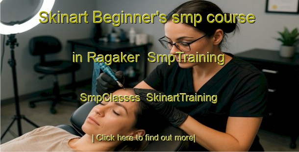Skinart Beginner's smp course in Ragaker | SmpTraining | SmpClasses | SkinartTraining-Sweden