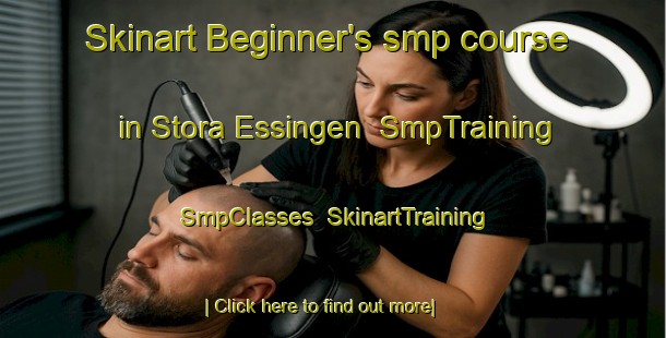 Skinart Beginner's smp course in Stora Essingen | SmpTraining | SmpClasses | SkinartTraining-Sweden