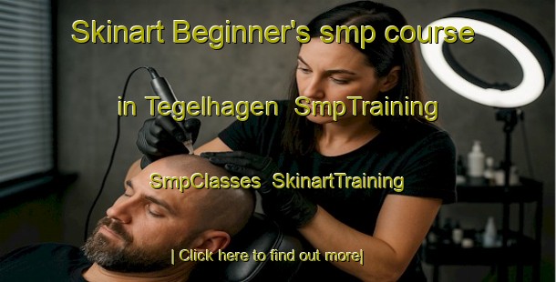Skinart Beginner's smp course in Tegelhagen | SmpTraining | SmpClasses | SkinartTraining-Sweden