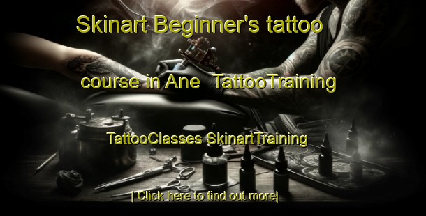 Skinart Beginner's tattoo course in Ane | #TattooTraining #TattooClasses #SkinartTraining-Sweden