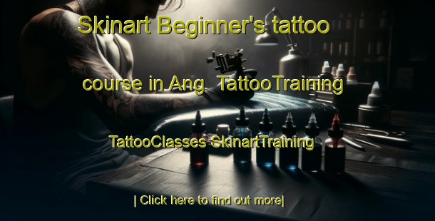 Skinart Beginner's tattoo course in Ang | #TattooTraining #TattooClasses #SkinartTraining-Sweden