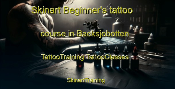 Skinart Beginner's tattoo course in Backsjobotten | #TattooTraining #TattooClasses #SkinartTraining-Sweden