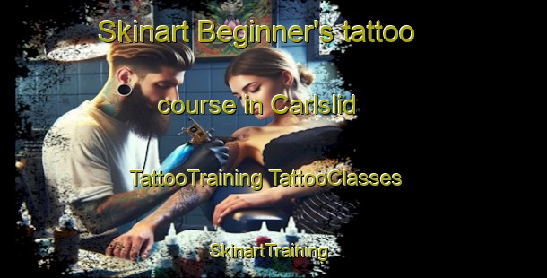 Skinart Beginner's tattoo course in Carlslid | #TattooTraining #TattooClasses #SkinartTraining-Sweden