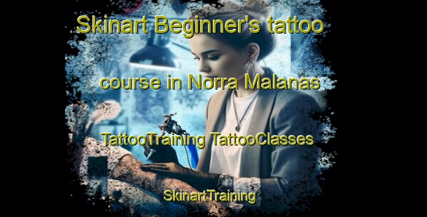 Skinart Beginner's tattoo course in Norra Malanas | #TattooTraining #TattooClasses #SkinartTraining-Sweden