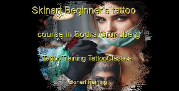 Skinart Beginner's tattoo course in Sodra Grunuberg | #TattooTraining #TattooClasses #SkinartTraining-Sweden