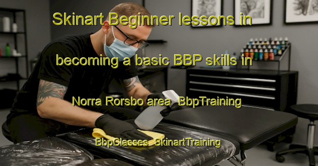 Skinart Beginner lessons in becoming a basic BBP skills in Norra Rorsbo area | BbpTraining | BbpClasses | SkinartTraining-Sweden