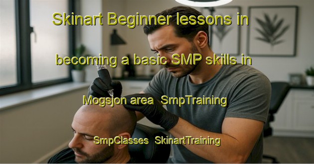 Skinart Beginner lessons in becoming a basic SMP skills in Mogsjon area | SmpTraining | SmpClasses | SkinartTraining-Sweden